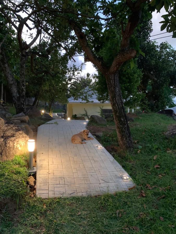 Naturalis - Oceanview Residences Misere 外观 照片